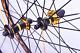50mm Depth Road Bike 700c Wheelset Carbon Hub Alloy Bicycle Wheels Set 20 Holes