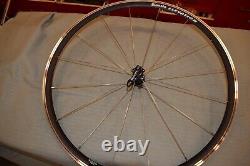 Bianchi Front road wheel 700C 622x13 18 hole 820 grams carbon fusion hub Italy