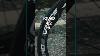 Xentis Squad 4 2 U0026 5 8 Race Carbon Wheels 30 Sale Off Carbonwheel Roadbike Shorts